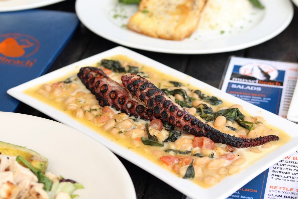 Chargrilled octopus tentacles plated over braised white beans, spinach, and tomato